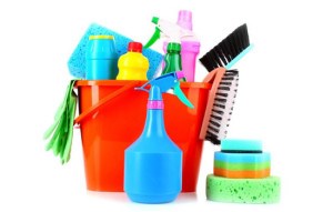 Cleaners Ellesmere Port Town: Domestic cleaning