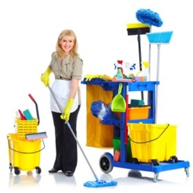 Cleaners Ellesmere Port Town: Domestic cleaning